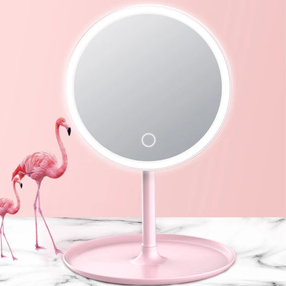 LED Makeup Mirror with Light – White Daylight Vanity Mirror with Detachable Storage Base, 3 Lighting Modes, USB Rechargeable