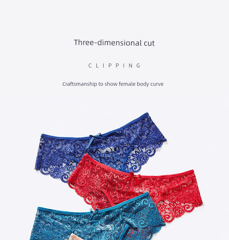 3-Pack Lace Mid-Waist Panties for Women – Plus Size, Seamless, Sheer Briefs